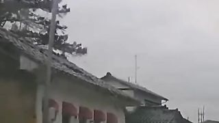 Amazing videos vol 481