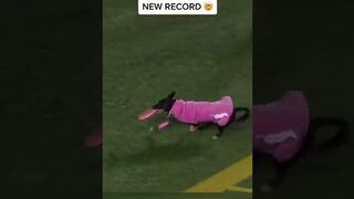World record for longest catch at a sporting