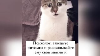 ВРАЧ