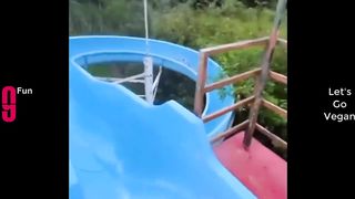 TRY NOT TO LAUGH ???? Best Funny Videos Compilation ???????????? PART 31