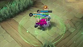 Amazing video