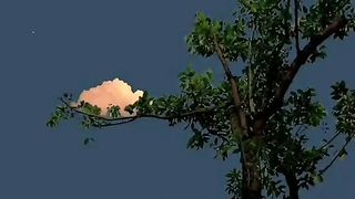 moon night aestetic