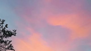 Senja