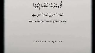 #beshak