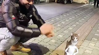 Seoul Maa Biralu Nachaudai????