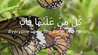 Surah Ar-Rahman - Ayat 26-28 #quranic_mind