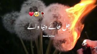 Video from tiktok