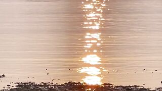 "Radiant Sun: Capturing the Magic of the Sun in Video"