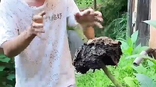 TikTok hay #shorts #tiktok