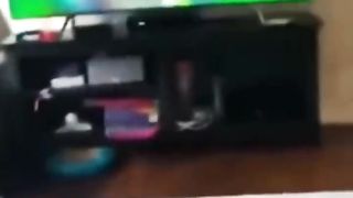 New Funny Cats And Dogs Videos