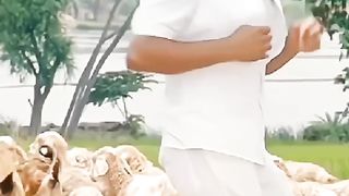 _Movie__Rowdy_Rathore__2012__In_frame__Akshay_Kumar_reels_music_song_bollywood