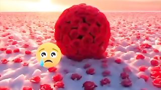 Juda taʼsirli video