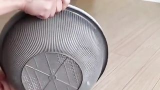 Funny tricks with a cat
