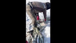 СЛУЧАИ НА РЫБАЛКЕ _ Приколы на рыбалке _ Шок рыбалка _ Пьяные на рыбалке _ Смешн.