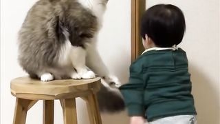 Cat Blocks Little Boy's Door Opening Attempts.