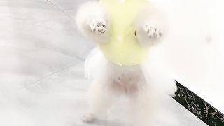 Amazing video ????