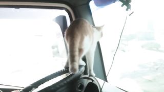 Попали на ТВ. Кокос звезда!.
