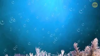Я ржал до слез ???? 30 Минут смеха 2024 Смешные видео Лучшие Лютые ПРИКОЛЫ Январь!.