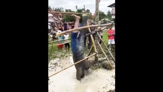 Story funny