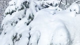 snowfall in Azad Kashmir #viral #snowfall #kashmirsnowfall