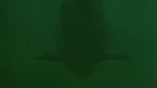 Das Boot (1981)