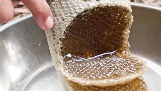 pure+fresh+honey