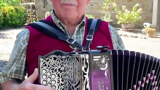 _ Grande tocador de concertina_ José Carvalho.
