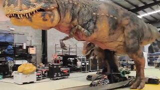 Amazing videos vol 487