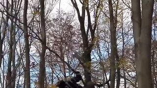 A descendant of Tarzan has been discovered