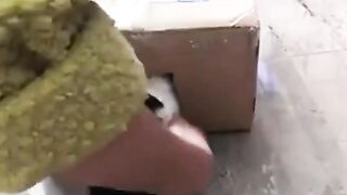 The little thief's hiding place
