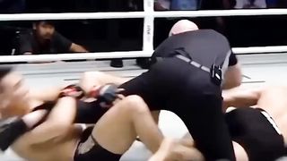 funny videos of Pja
