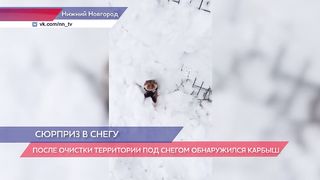 После очистки территории под снегом обнаружился карбыш