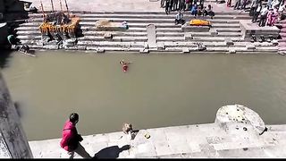 Amazing videos vol 493