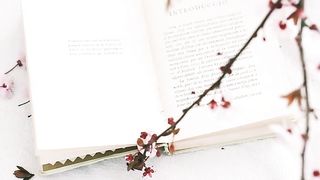 #Cherry blossoms#short