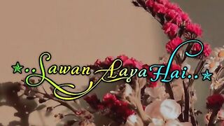 Music lover's