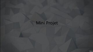 33 Mini Project