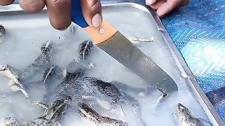 Amazing videos vol 500
