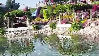 Flower garden