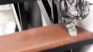 Aaaa mau nangis teralu lucu