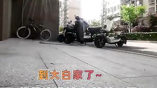 喵师傅，你急急忙忙的干嘛去？猫：“约架”的快乐你不懂！