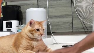 Gampang banget bos oyen satu ini marah