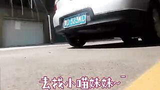 出门“约会”的喵师傅，被狸花猫吓一跳！猫咪：猫吓猫，吓死猫啊！