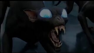 Black panter shadow