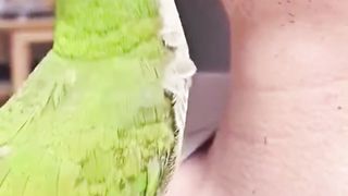 Clean Shave without any Pay