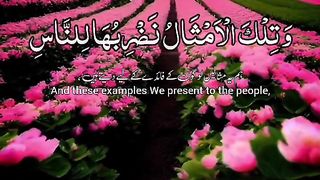Quran