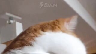 And your cheek fell out