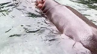Amazing video