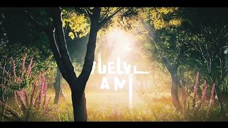 Vuelve 81