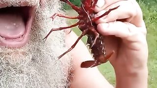 cried funny funnyvideo laugh memes.