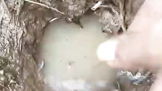 The pull of forest eels is different from that of swamp eels